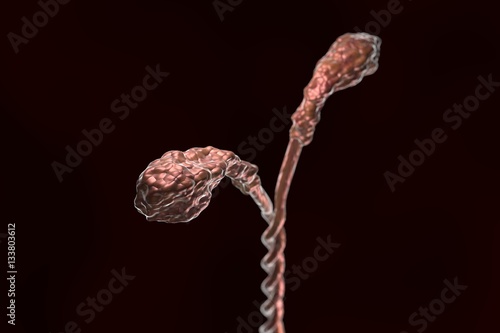 Myosin molecule structure illustration on dark background