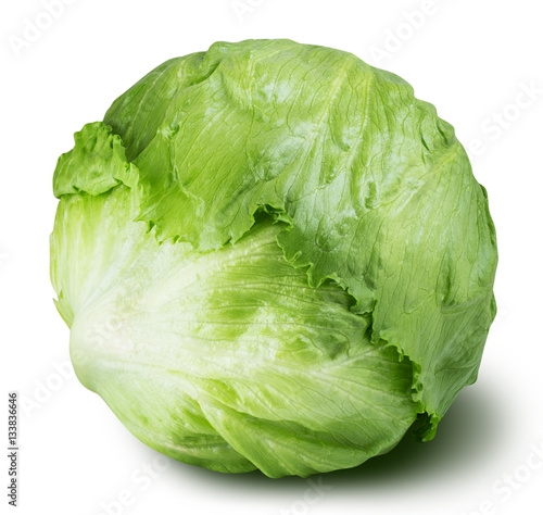 iceberg lettuce cabbage isolated on white