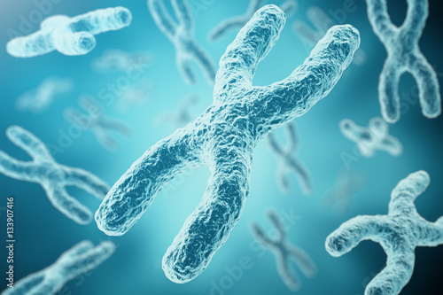 XY-chromosomes as a concept for human biology medical symbol gene therapy or microbiology genetics research. 3d rendering