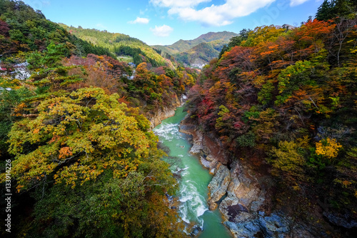 吾妻渓谷 紅葉とエメラルドグリーンの川