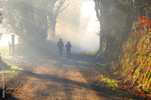 Couple is walking in the foggy forest in the morning sun