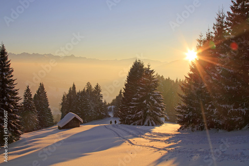 Winter - Traumtag - Sonnenuntergang - Pulverschnee - Sport - Ski