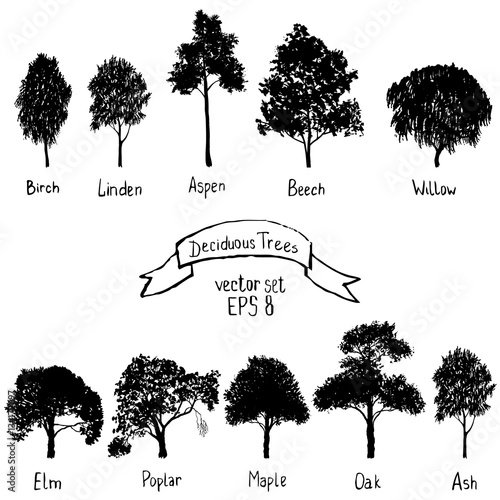 vector set of deciduous trees