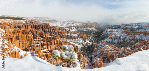 bryce canyon winter panorama
