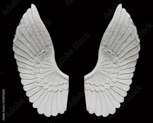 angel wing isolated on black background