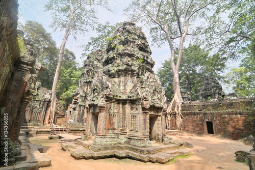 Ta Prohm - the temple at Angkor, Siem Reap Province, Cambodia 
