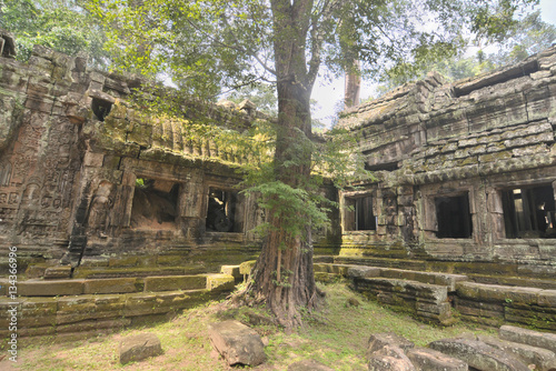 Ta Prohm - the temple at Angkor, Siem Reap Province, Cambodia 