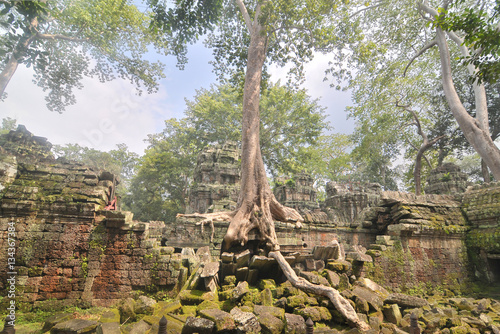 Ta Prohm - the temple at Angkor, Siem Reap Province, Cambodia 