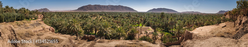 Panoramic view over oasis of date palms, Figuig, Morocco