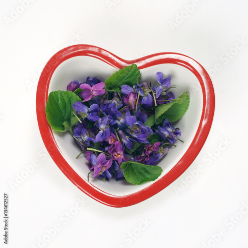 Viola odorata in a bowl