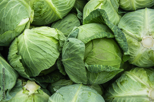 The cabbage closeup 