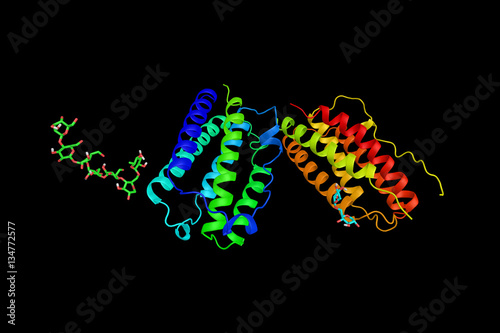 Interferons (3d structure), used to treat multiple sclerosis, a