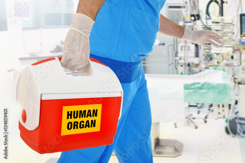 Arzt bringt Organspende in OP für Organtransplantation