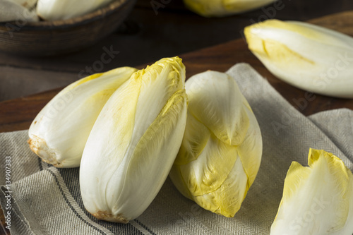 Raw Organic Belgian Endive