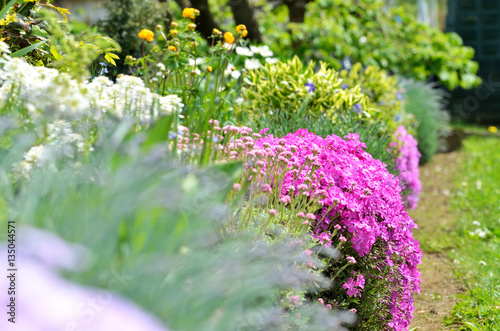 The flower rockery in a garden