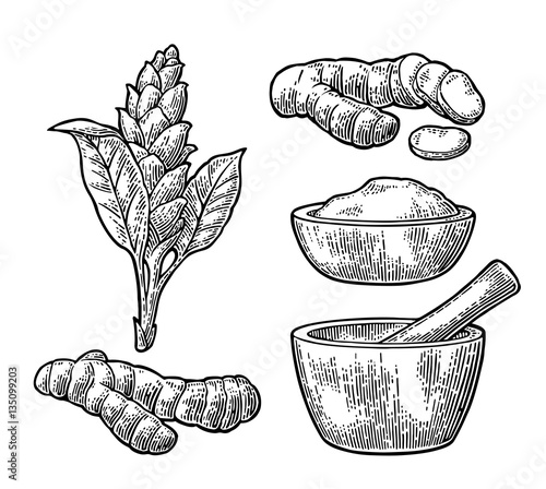 Turmeric root, powder and flower with pestle and mortar.