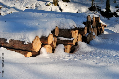 Pnie drewna pod śniegiem