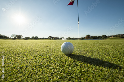 Golf ball on green low angle