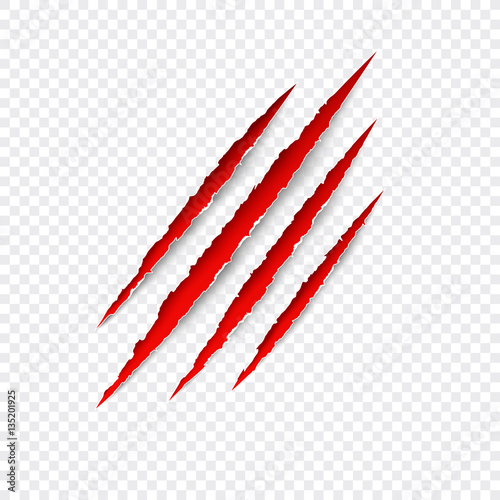 Scratches isolated on transparent background. Vector red scratch set. Claws scratching animal (cat, tiger, lion, bear) vector illustration. 