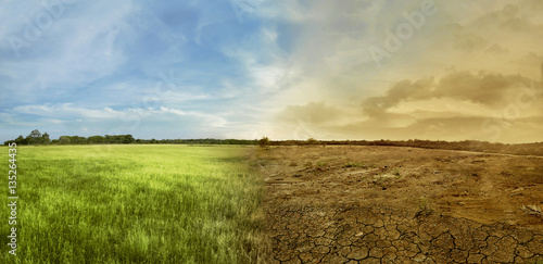 Landscape of meadow field with the changing environment