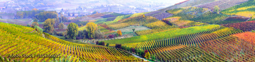 niesamowita rozległa plantacja winogron w słynnym regionie winiarskim Piemont we Włoszech