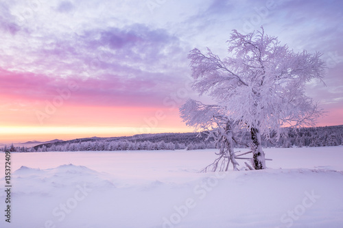 Sunrise over a cold winter landscape with beautiful illuminated clouds