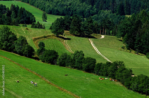 pastwiska beskidzkie 