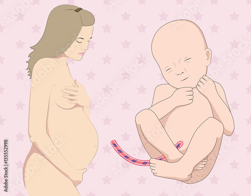 Pregnant Woman & Little Baby / Fetus. Vector Illustration 