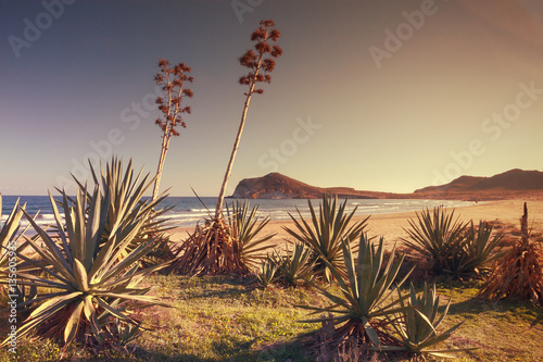 Sunset on the beach Genoveses in the Natural Park of Cabo de Gata, Almeria, Spain