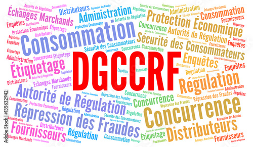 DGCCRF nuage de mots