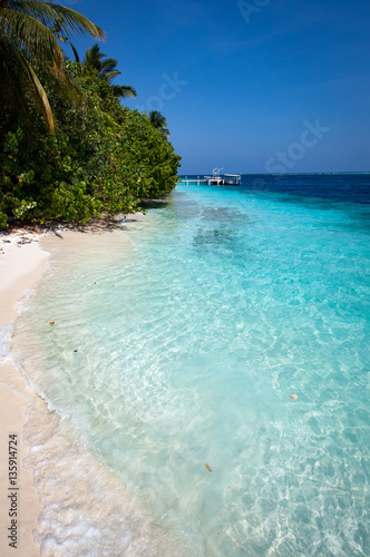 A white coral sand beach in the Maldives