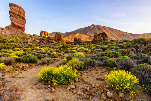 le teide