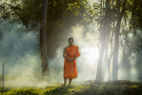 Vipassana meditation monk walks in a quiet forest.