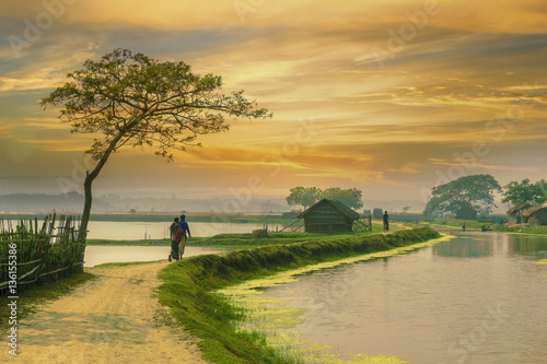 Village road of Bangladesh during sunset