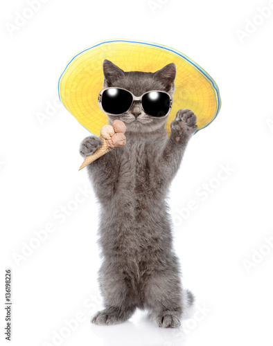 Cat in sunglasses and hat holding ice cream. isolated on white 