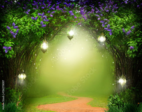 Fantasy background . Magic forest with road.