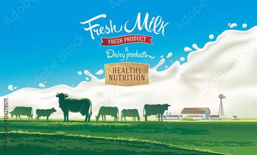 Rural landscape with herd cows and farm with splash milk in background. Vector illustration.