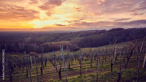 Colline vigne con tramonto spettacolare