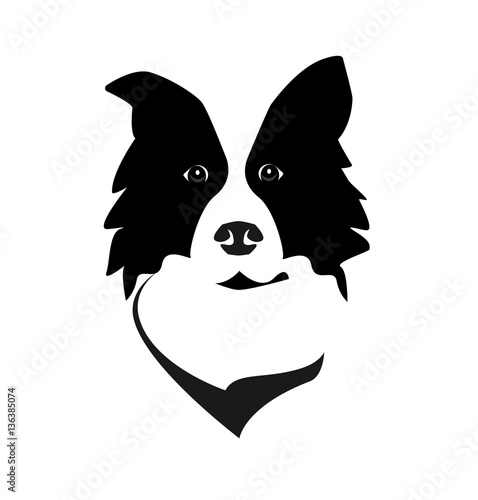 Border Collie head logo icon vector. Dog face simple design.