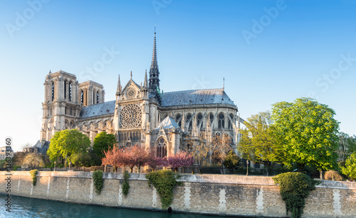 Katedra Notre Dame w Paryżu w jasne popołudnie na wiosnę