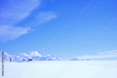 白と青の世界 / 冬の美瑛町の風景