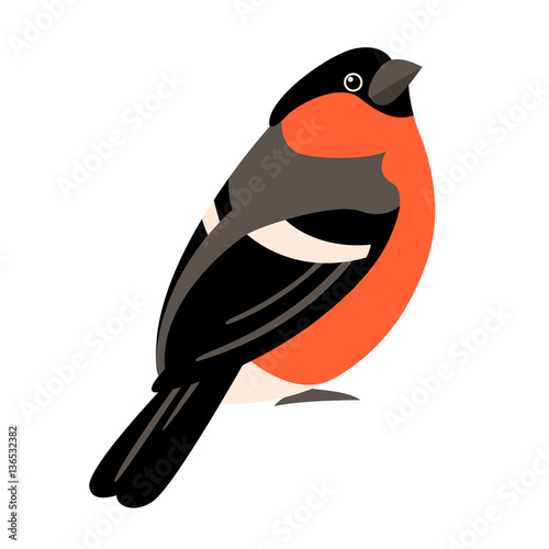 bullfinch vector illustration style Flat