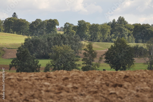 Polska - Mazury - Warmia - Krajobraz