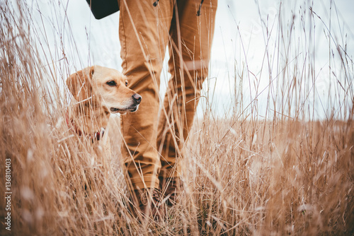 Hiker and dog in grassland