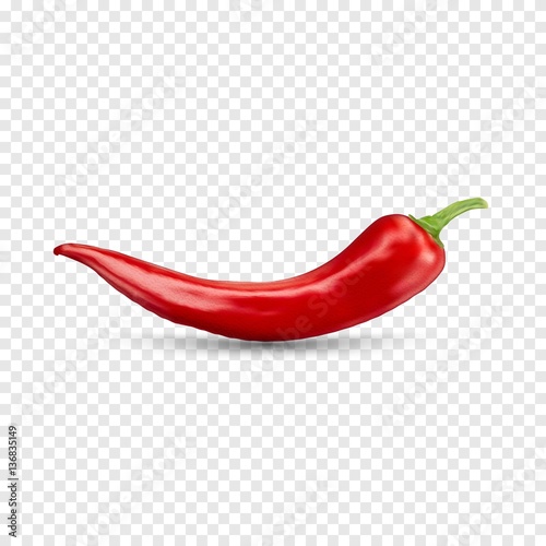 Red hot natural chili pepper pod realistic image with shadow for culinary products and recipes vector illustration