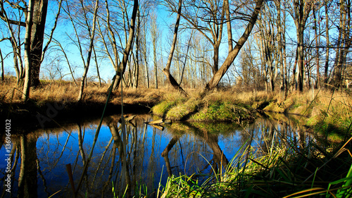 Biotop - Altwasser - Tümpel im Herbst