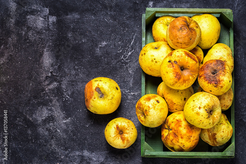 box full of of stale green apples on a dark black cement background, top view, copy space