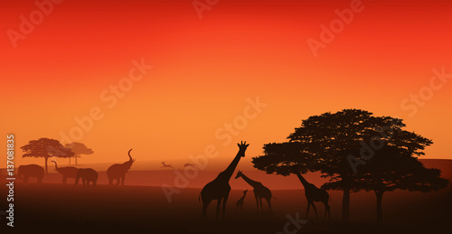 african wildlife editable vector illustration - savannah at sunset