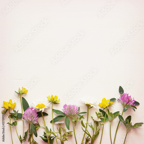Wild flowers corner on paper background