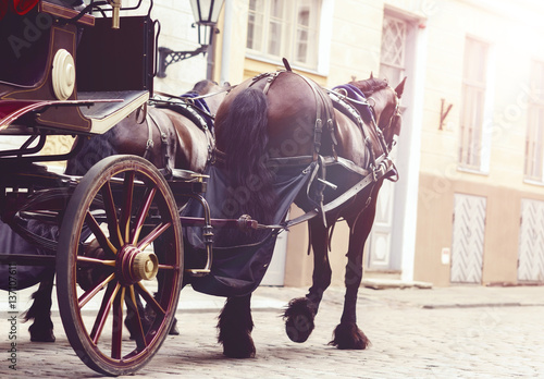 Horse and a beautiful old carriage in old town.